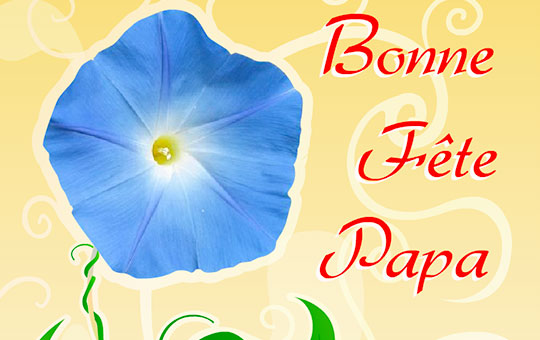Carte Bonne Fete Papa